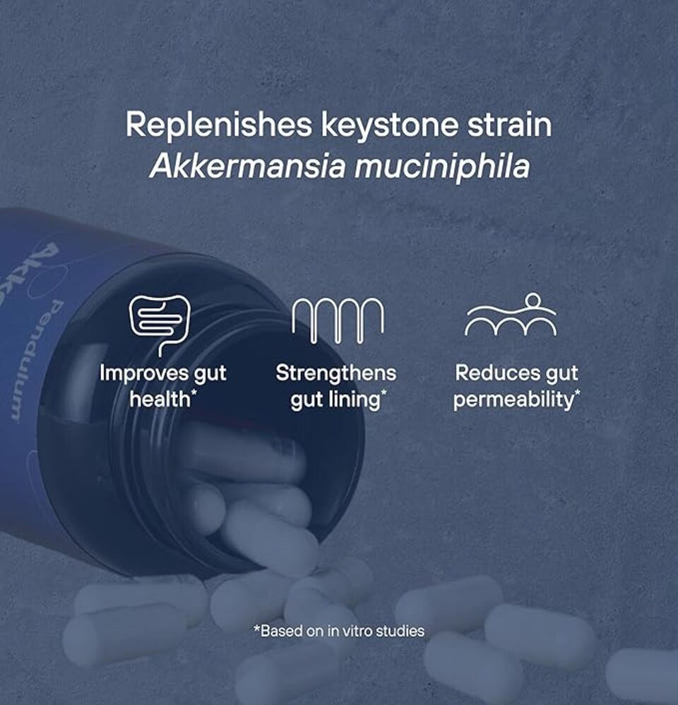 Pendulum Akkermansia Probiotic with Prebiotic Fiber - Gut Health Support CaveMan Horizon